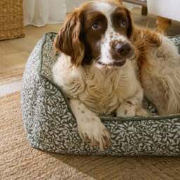 Chartwell Leaf Box Dog Bed - thumbnail 2