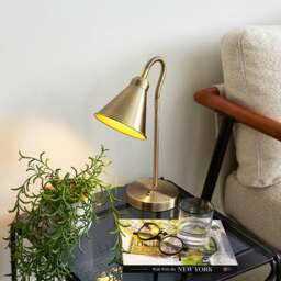 Newton Industrial Goose Neck Adjustable Table Lamp - thumbnail 1