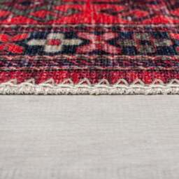 Kasra Traditional Washable Rug - thumbnail 4