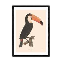 East End Prints Toucan Print - thumbnail 2