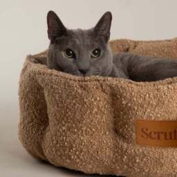 Scruffs Boucle Cat Bed - thumbnail 2