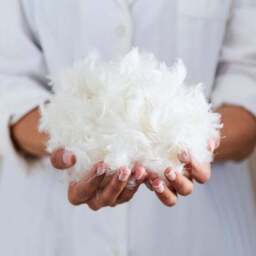 Fogarty Anti-Allergy White Goose Feather and Down 13.5 Tog Winter Duvet - thumbnail 4