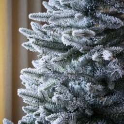 6ft Snowy Blue Spruce Christmas Tree - thumbnail 2