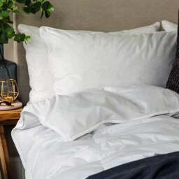 Snuggledown Hotel Goose Feather and Down Back Sleeper Pillow - thumbnail 1