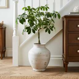 Traditional Stone Vase - thumbnail 1
