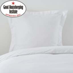 Non Iron Plain Dye White Continental Square Pillowcase
