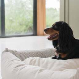 Lords and Labradors Striped Box Dog Bed - thumbnail 3