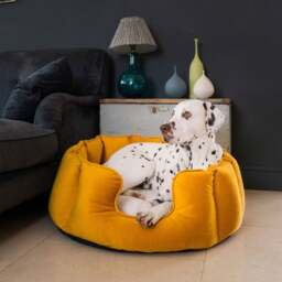 Lords and Labradors Velvet High Wall Dog Bed