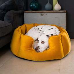 Lords and Labradors Velvet High Wall Dog Bed - thumbnail 2