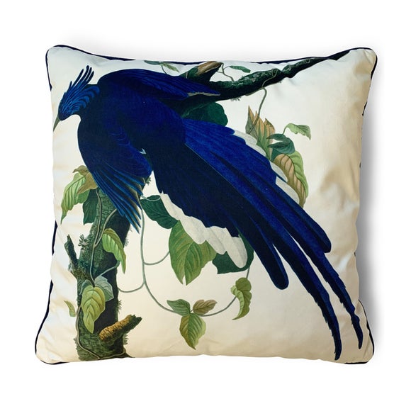 The Art Group John James Audubon Columbia Jay Velvet Square Cushion