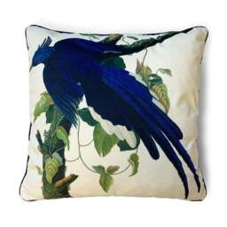 The Art Group John James Audubon Columbia Jay Velvet Square Cushion - thumbnail 2