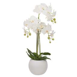 Artificial White Orchid in Rounded White Plant Pot - thumbnail 4