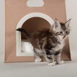 Scruffs Stockholm Felt Bag Cat Bed - thumbnail 4