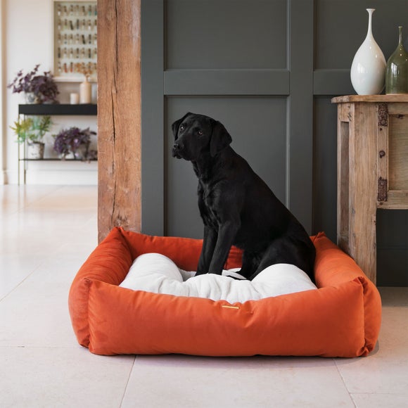 Lords and Labradors Velvet Box Dog Bed - image 1
