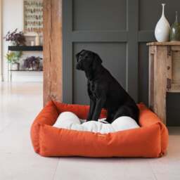 Lords and Labradors Velvet Box Dog Bed - thumbnail 1