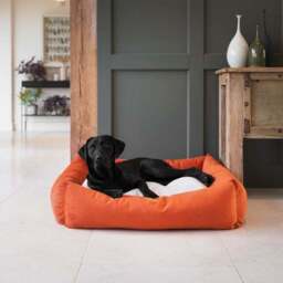 Lords and Labradors Velvet Box Dog Bed - thumbnail 2