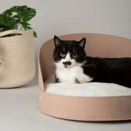 Scruffs Stockholm Felt Round Cat Bed - thumbnail 2