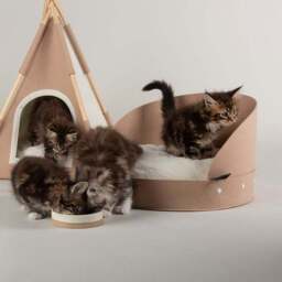 Scruffs Stockholm Felt Round Cat Bed - thumbnail 3