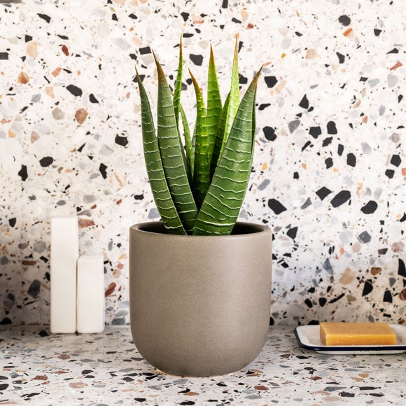 Artificial Aloe Vera Plant - image 1