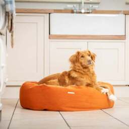 Lords and Labradors Velvet Donut Dog Bed - thumbnail 2