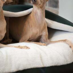 Lords and Labradors Rhino Leather Sleepy Burrow Dog Bed - thumbnail 3