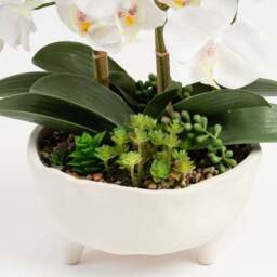 Artificial Orchid in Footed Cement Pot - thumbnail 3