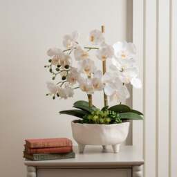 Artificial Orchid in Footed Cement Pot - thumbnail 1
