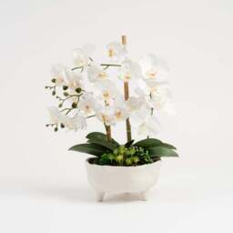 Artificial Orchid in Footed Cement Pot - thumbnail 2