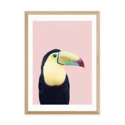 East End Prints Toucan Print by Sisi and Seb - thumbnail 2