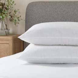 Pack of 2 Soft Cotton Back Sleeper Pillows - thumbnail 1