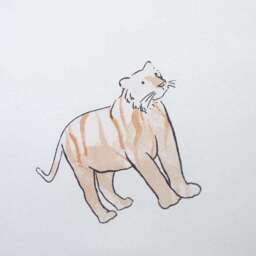 Catherine Lansfield Zoo Animals 100% Cotton Fitted Sheet - thumbnail 3