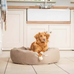 Lords and Labradors Velvet Donut Dog Bed - thumbnail 1