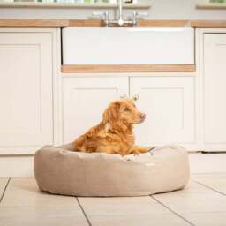 Lords and Labradors Velvet Donut Dog Bed - thumbnail 2
