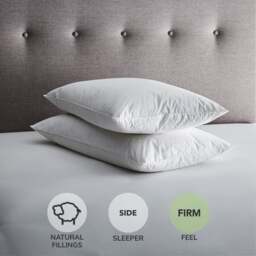 Fogarty Pack of 2 Duck Feather & Down Side Sleeper Pillows - thumbnail 1