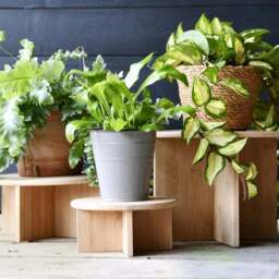 Fallen Fruits Bamboo Plant Stand - thumbnail 2