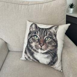 Christine Varley Tabby Cat Square Cushion - thumbnail 1