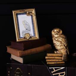 Harry Potter Hedwig Photo Frame - thumbnail 1