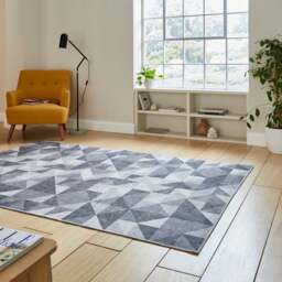 Coral H1057 Rug - thumbnail 1