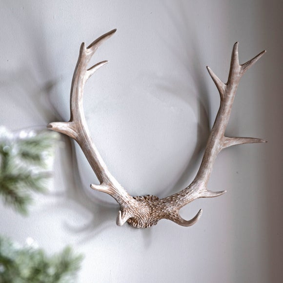 Cedar & Sage Bjorn Antler Wall Art - image 1