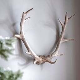 Cedar & Sage Bjorn Antler Wall Art - thumbnail 1