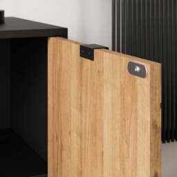 Nixon 2 Door Sideboard - thumbnail 3