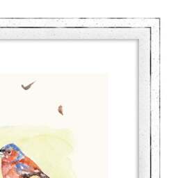The Art Group Line Of Garden Birds Framed Print - thumbnail 3