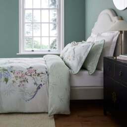Dorma Love Bird 100% Cotton Duvet Cover & Pillowcase Set - thumbnail 3