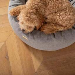 Lords and Labradors Herringbone Donut Dog Bed - thumbnail 2