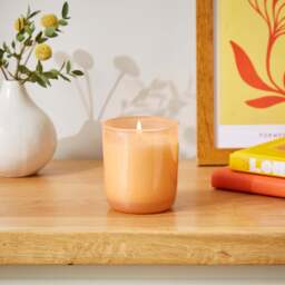 Mango and Orchid Candle Orange