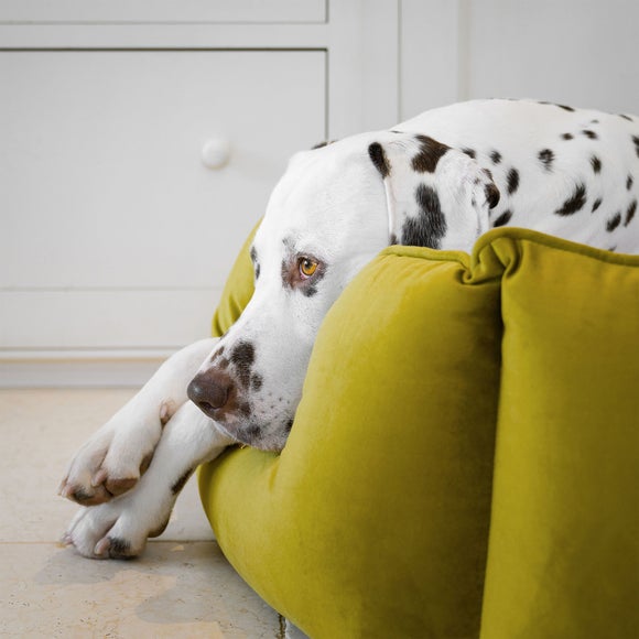 Lords and Labradors Velvet High Wall Dog Bed - image 1