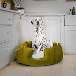 Lords and Labradors Velvet High Wall Dog Bed - thumbnail 2
