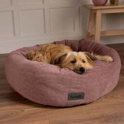 Scruffs Oslo Donut Dog Bed - thumbnail 2