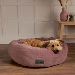 Scruffs Oslo Donut Dog Bed