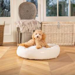 Lords and Labradors Savanna Donut Dog Bed - thumbnail 1